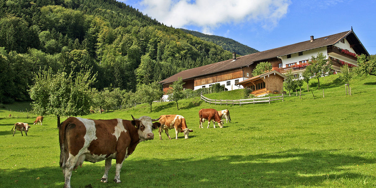 5 Sterne Bauernhof in Bad Feilnbach 